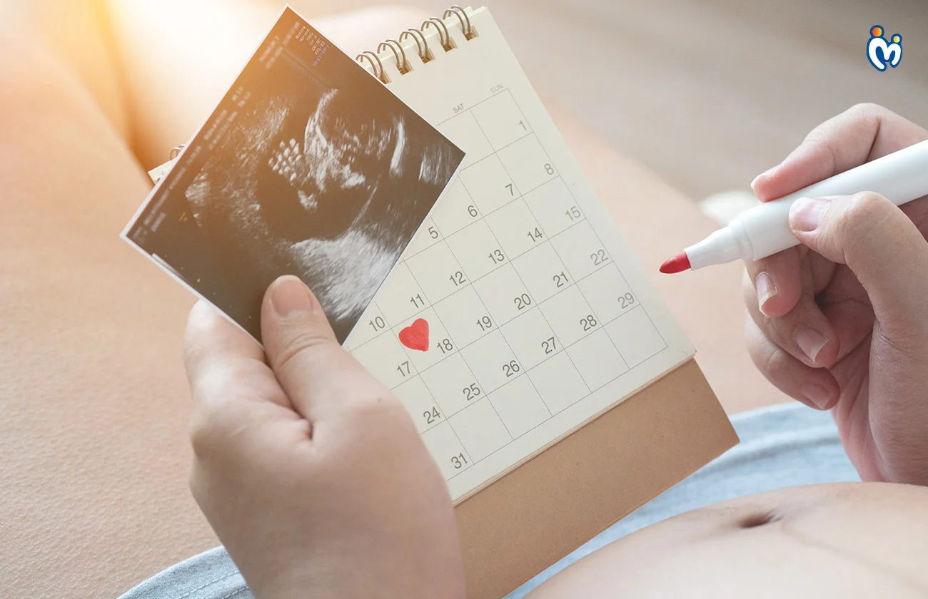 Sample Birth Plan Structure 1764738489944