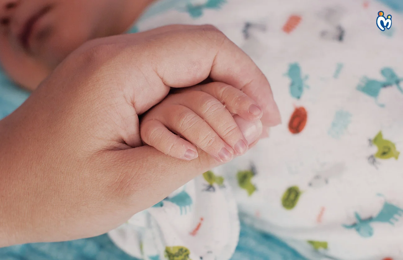 The Language Of Touch 1764744852328